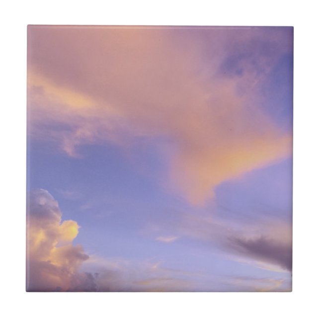 TILE/TRIVET "PAINTED SKY" TILE (Front)