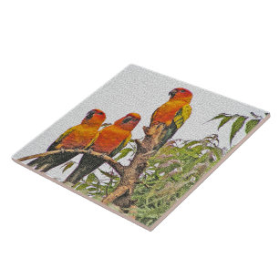 TILE/TRIVET, THREE ORANGE PARROTS (DIGITAL MANIP) TILE
