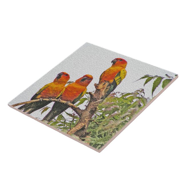 TILE/TRIVET, THREE ORANGE PARROTS (DIGITAL MANIP) TILE (Side)