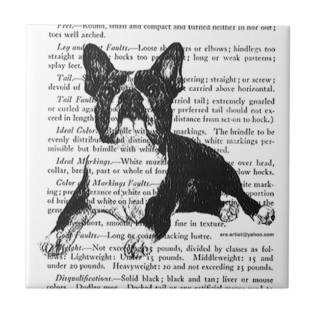 TILE-UNDER $20 GIFT BOSTONBULL      KITCHEN TRIVET (Front)