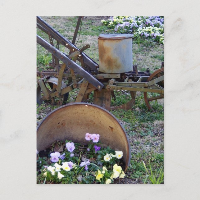 till and flowers postcard (Front)