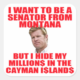 Tim Hides His Millions in the Cayman Islands Square Sticker