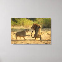 Timbavati River, Kruger National Park, Limpopo