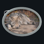 Timber Wolf Belt Buckle<br><div class="desc">Many people have a fascination with wolves. With this item I am sharing my love of these amazing animals.</div>