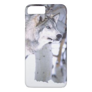 Timber Wolf, Canis lupus, Movie Animal Utah) Case-Mate iPhone Case