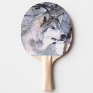 Timber Wolf, Canis lupus, Movie Animal Utah) Ping Pong Paddle