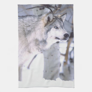 Timber Wolf, Canis lupus, Movie Animal Utah) Tea Towel