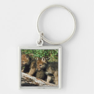 Timber wolf cubs key ring