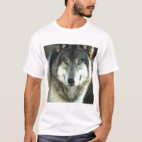 Timber-Wolf from JungleWalk.com