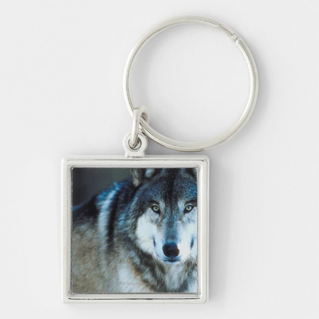 Timber wolf key ring (Front)
