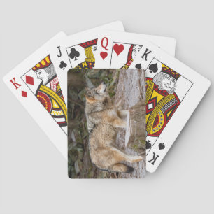 Timber Wolf Placemat Playing Cards