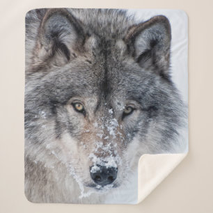 Timber Wolf  Sherpa Blanket