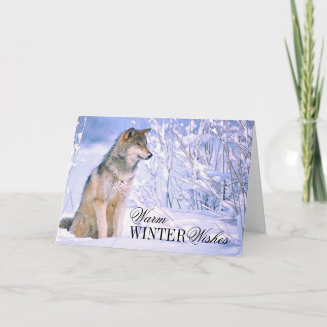 Timber Wolf Sitting in Snow Holiday Card (Front)