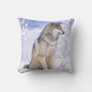 Timber Wolf sitting in the Snow, Canis lupus, Cushion