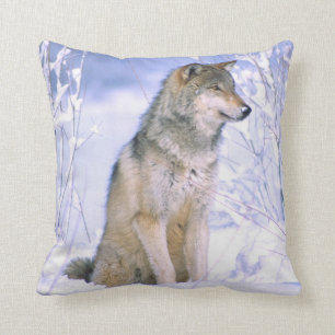 Timber Wolf sitting in the Snow, Canis lupus, Cushion