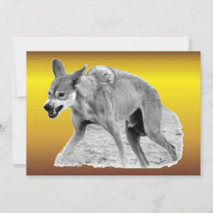 Timber Wolf Snarl