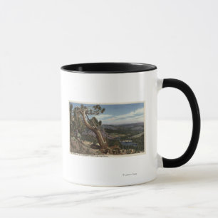 Timberline on the Mammoth Crest Mug