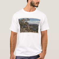 Timberline on the Mammoth Crest