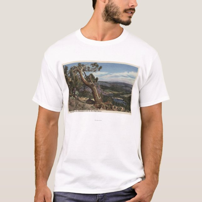 Timberline on the Mammoth Crest T-Shirt (Front)