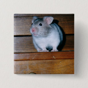 Timbit the Hamster Button