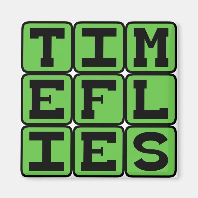 Time Flies, When You're Having Fun Magnet (Front)