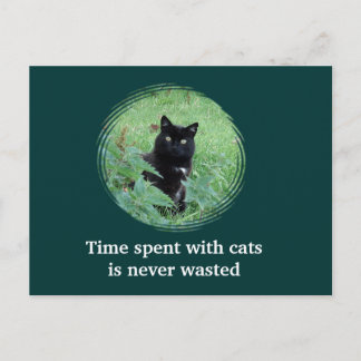 Time Spent With Cats Is Never Wasted Postcard