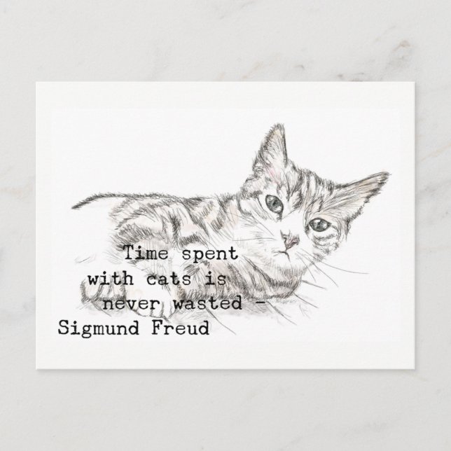 Time Spent with Cats . . . Postcard (Front)
