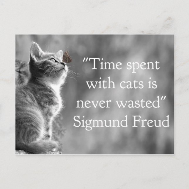 Time Spent with Cats . . . Postcard (Front)