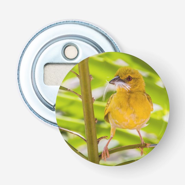 Time to build the nest bottle opener (Front)
