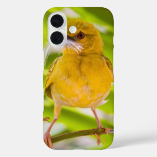 Time to build the nest iPhone 16 case