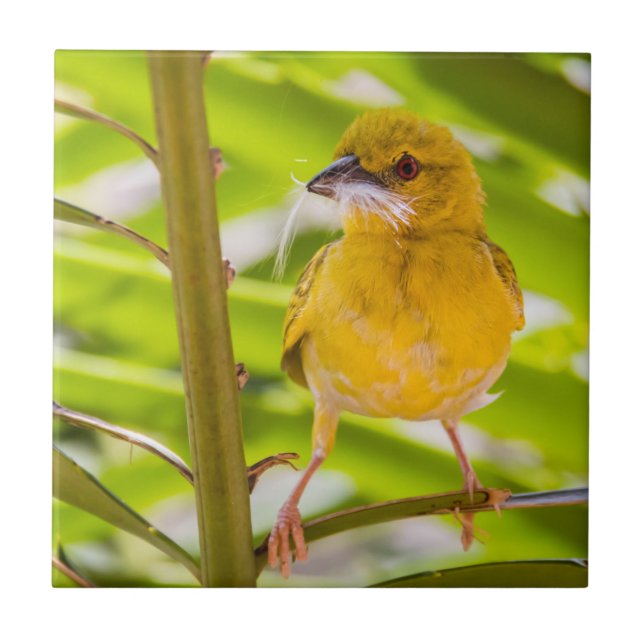 Time to build the nest tile (Front)