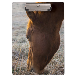 Time To Eat Clipboard