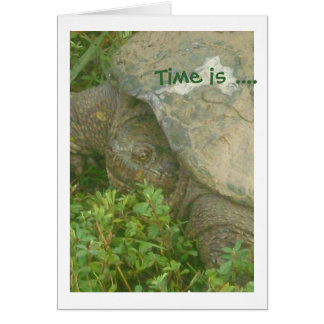 Time Turtle