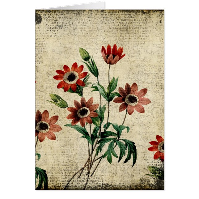 Timeless Anemones (Front)