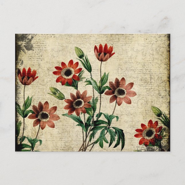 Timeless Anemones Postcard (Front)