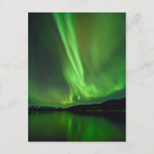 Timeless Aurora Postcard