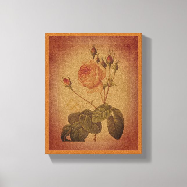 Timeless Elegance Vintage Rose   Canvas Print (Front)