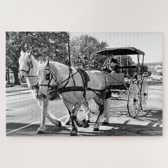 Timeless Journey Jigsaw Puzzle (Horizontal)