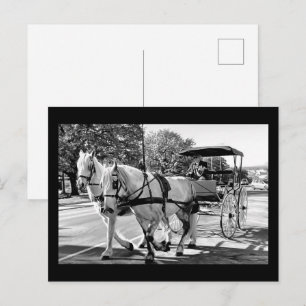 Timeless Journey Postcard