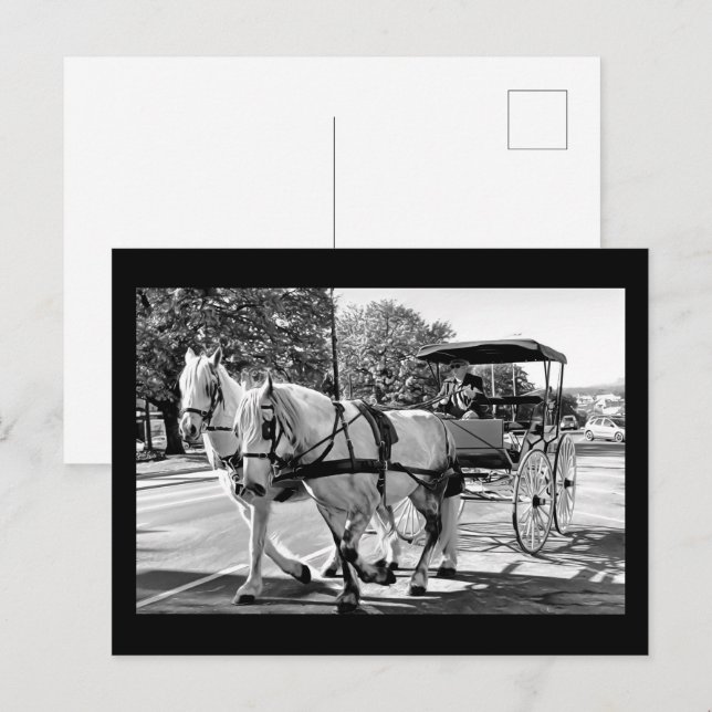 Timeless Journey Postcard (Front/Back)