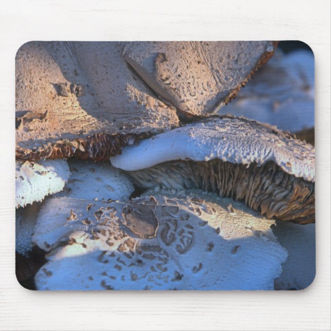 Timeless Magnolia Mouse Pad (Front)