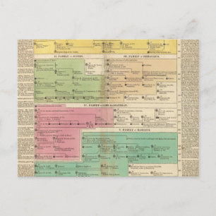 Timeline Empire of Constantiople Royal Families Postcard