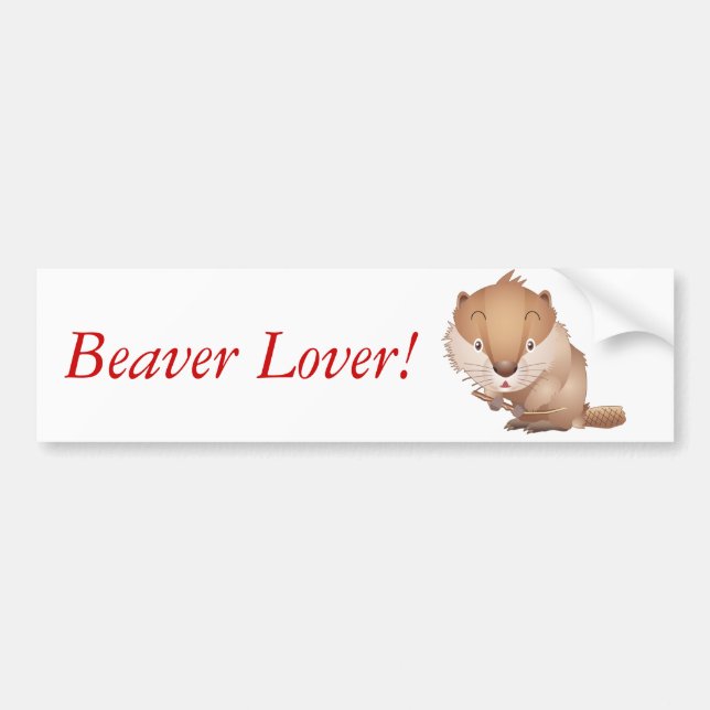 Timid Beaver Bumper Sticker (Front)
