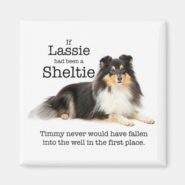Timmy's Tri-Colour Sheltie Magnet (Front)