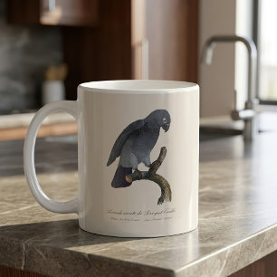 Timneh African Grey Parrot, Psittacus Timneh Coffee Mug