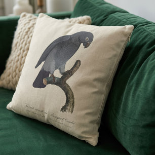 Timneh African Grey Parrot, Psittacus Timneh Cushion