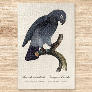 Timneh African Grey Parrot, Psittacus Timneh Jigsaw Puzzle