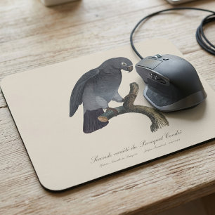 Timneh African Grey Parrot, Psittacus Timneh Mouse Pad