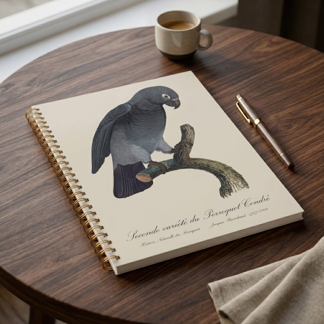 Timneh African Grey Parrot, Psittacus Timneh Planner (Timneh African Grey Parrot, Psittacus Timneh. Planner)