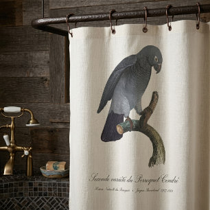 Timneh African Grey Parrot, Psittacus Timneh Shower Curtain